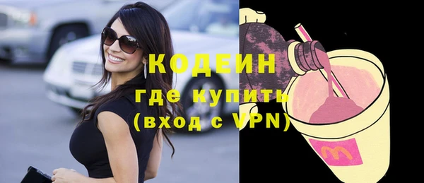 шишки Осташков